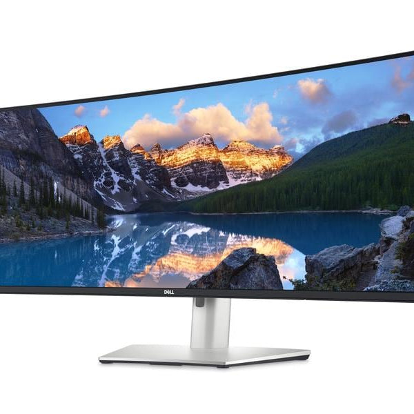 DELL Monitor U4924DW