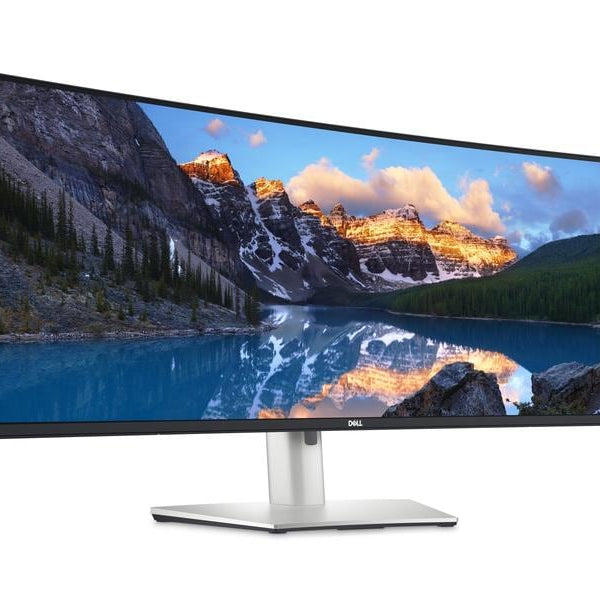 DELL Monitor U4924DW