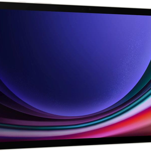 Samsung Galaxy Tab S9 5G 256 GB CH Beige