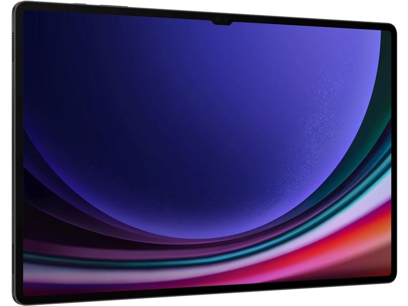 Samsung Galaxy Tab S9 Ultra 256 GB CH Schwarz