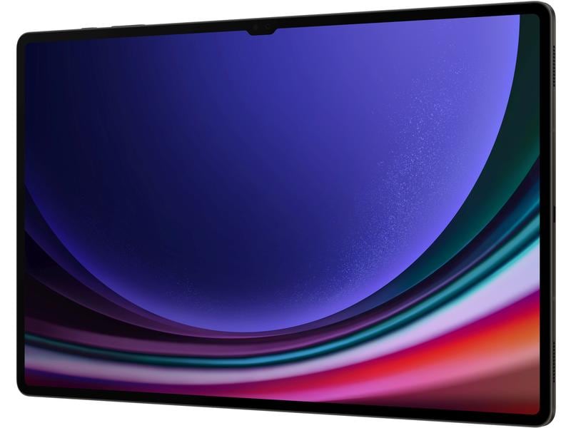 Samsung Galaxy Tab S9 Ultra 5G 256 GB CH Schwarz