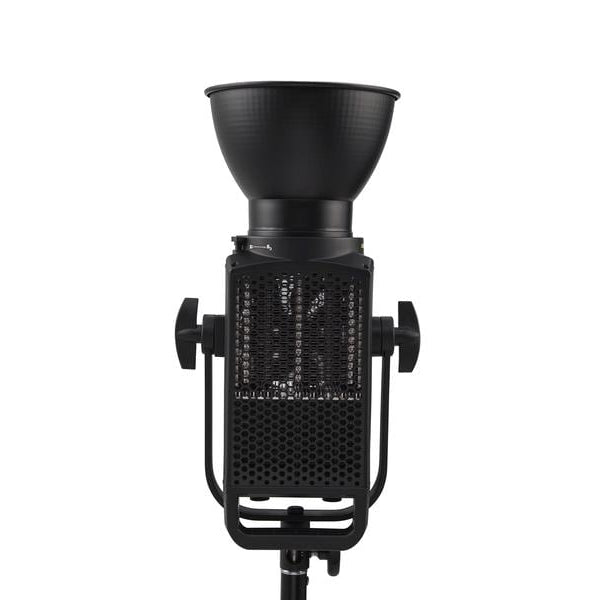 Nanlite Dauerlicht FS-300B