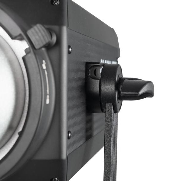 Nanlite Dauerlicht FS-300