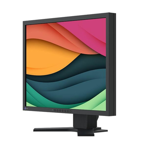 EIZO Monitor FlexScan S2134