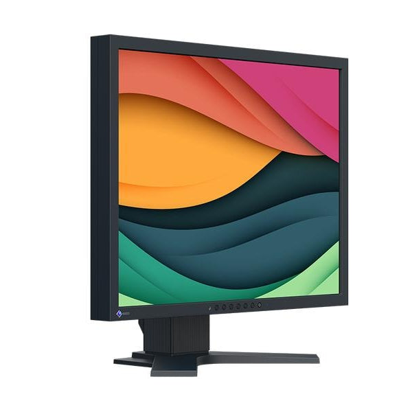 EIZO Monitor FlexScan S2134