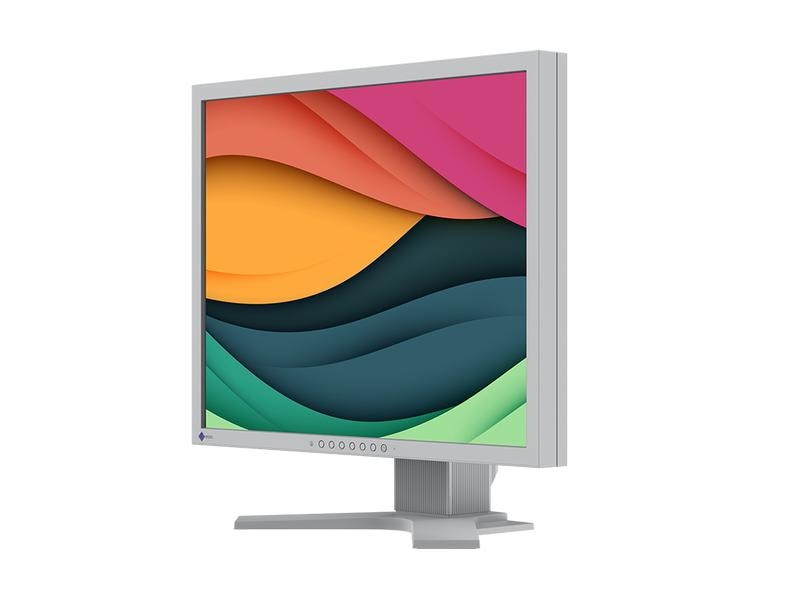 EIZO Monitor FlexScan S2134