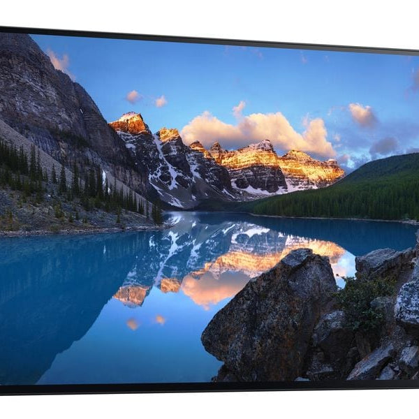 DELL Monitor UltraSharp 24 U2424H ohne Standfuss