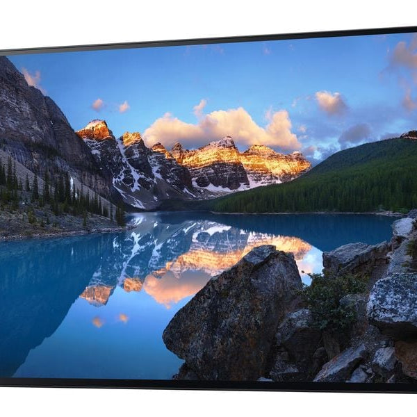 DELL Monitor UltraSharp 24 U2424H ohne Standfuss