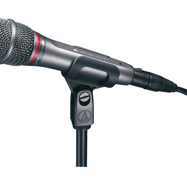 Audio-Technica Mikrofon AE6100