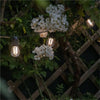 Hombli Outdoor Smart String Light Erweiterung 5m
