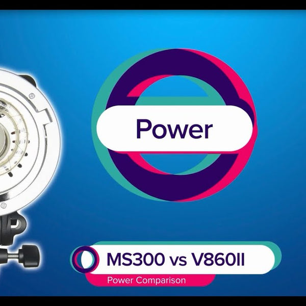 Godox Studioblitzanlage MS Studio Flash Kit