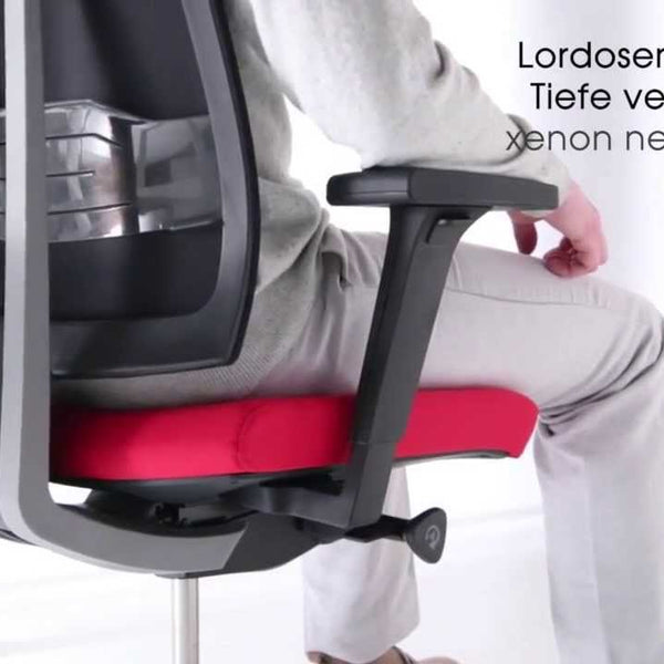 Profim Bürostuhl Xenon Net 100S mit Netzrücken Dunkelgrau