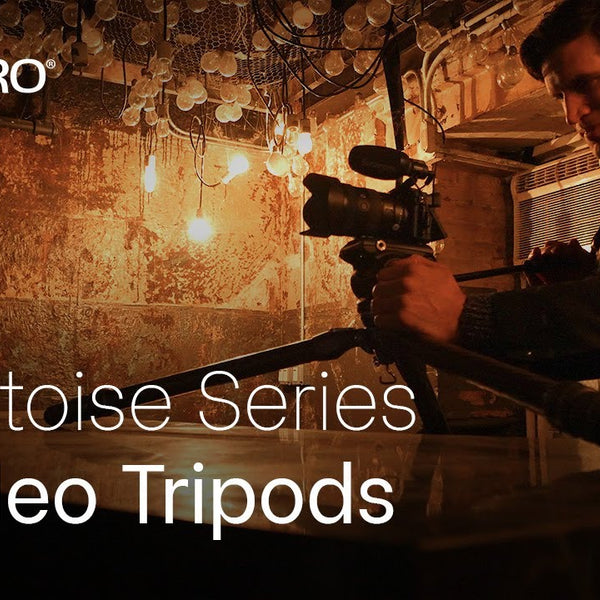 Benro Videostativ Kit TTOR24CLVS4pro Tortoise