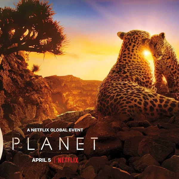 Sharp Soundbar HT-SBW460