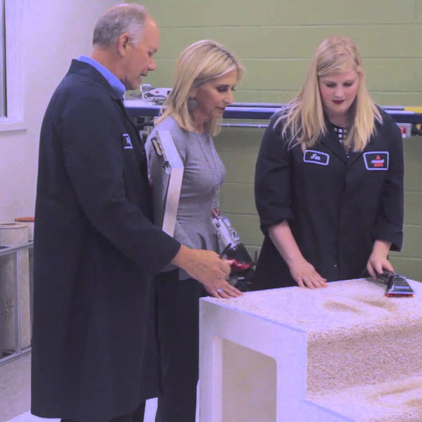 BISSELL Bodenstaubsauger 2024N