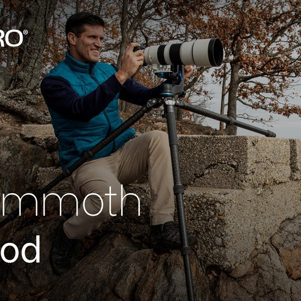 Benro Stativ TMTH44C Mammoth Carbon