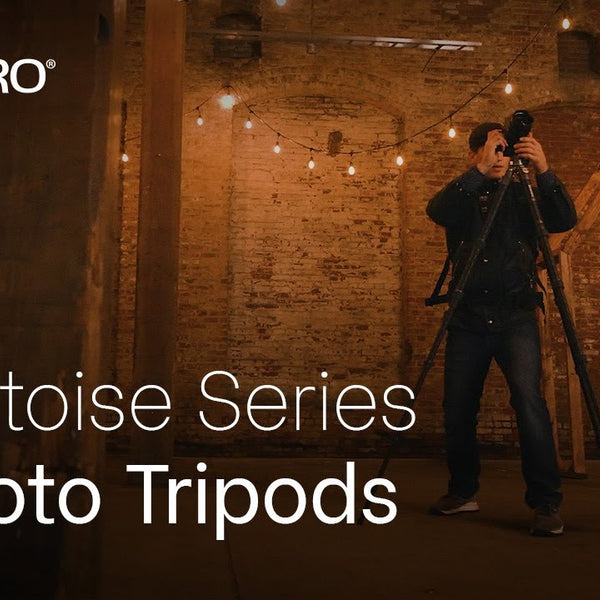 Benro Videostativ TTOR34CLVS4pro Tortoise Kit